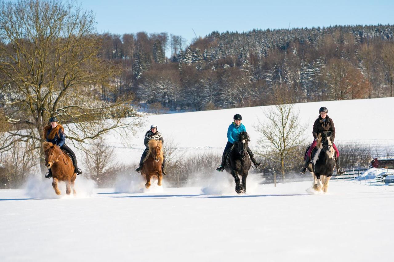 Ferienhof Homann Sauerland ブリーロン エクステリア 写真