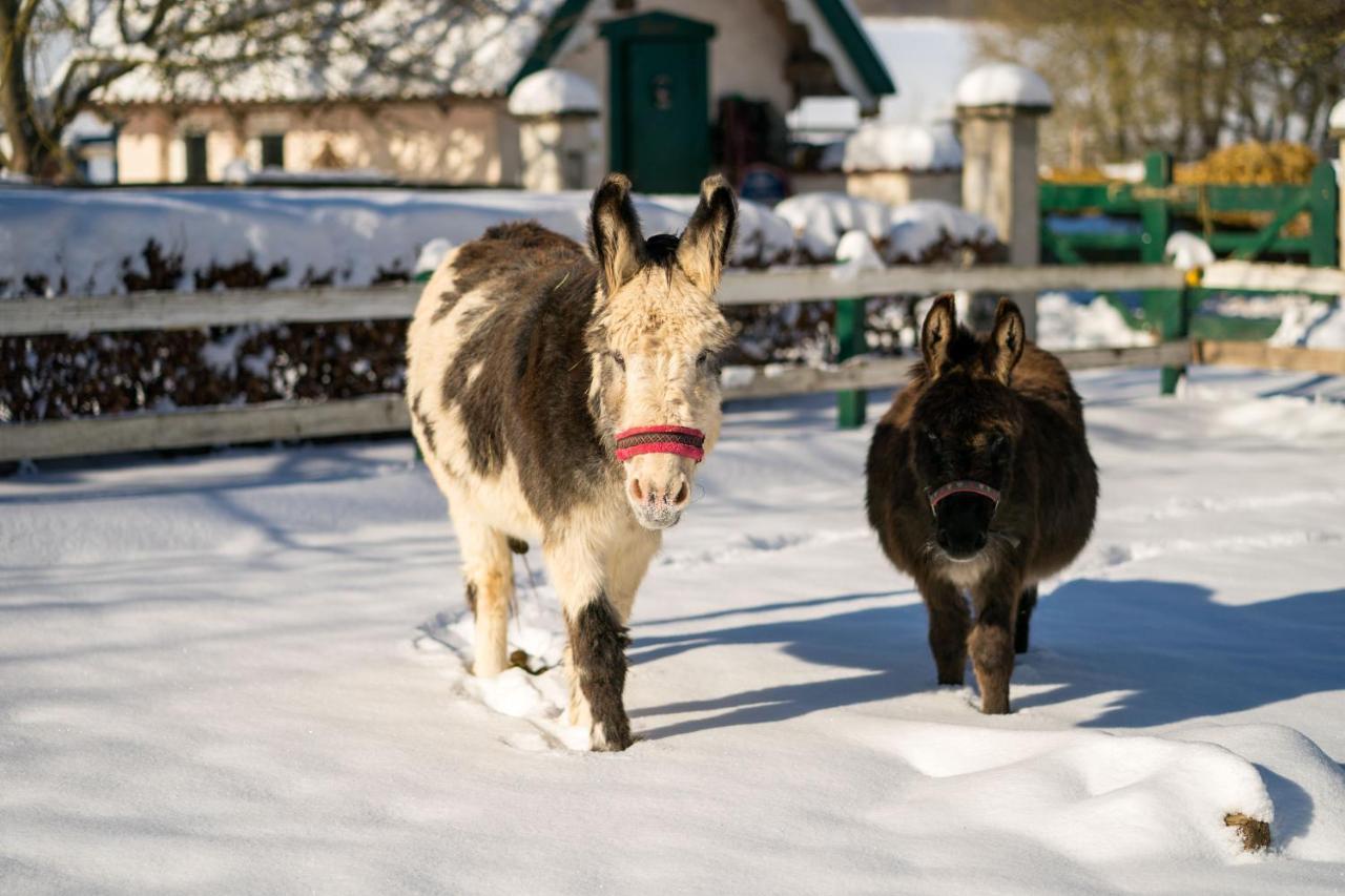 Ferienhof Homann Sauerland ブリーロン エクステリア 写真