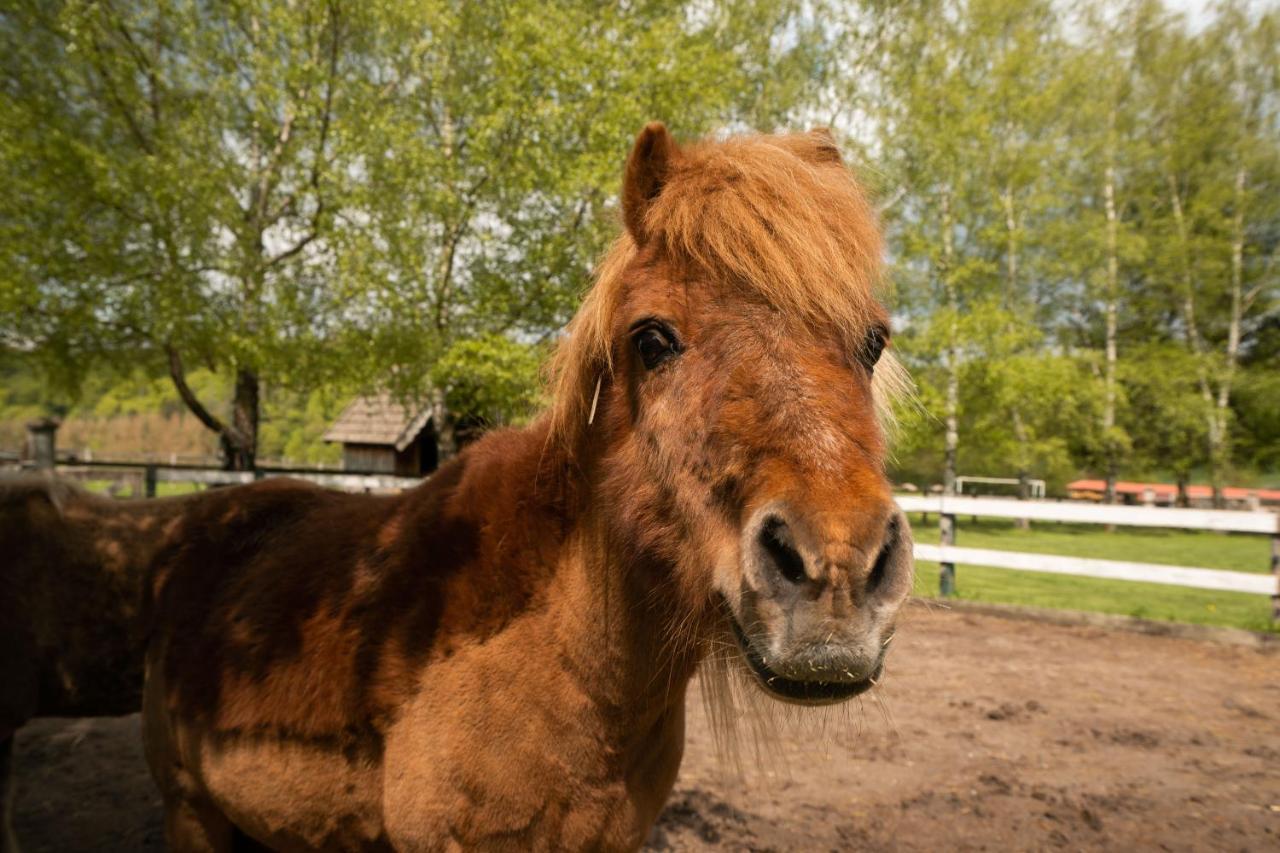 Ferienhof Homann Sauerland ブリーロン エクステリア 写真