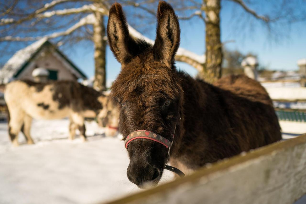 Ferienhof Homann Sauerland ブリーロン エクステリア 写真